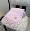 LOEWE Fashion Scarf - Image 3