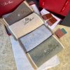 Loro Piana Fashion Scarf