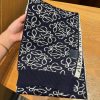 LOEWE Fashion Scarf - Image 2