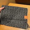 LOEWE Fashion Scarf