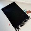 Loro Piana Fashion Scarf - Image 2