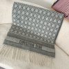 Dior Fashion Scarf - Image 3