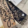 Loewe Fashion Scarf