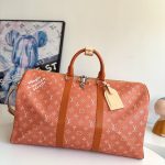 Louis Vuitton Fashion Bag
