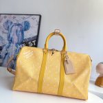 Louis Vuitton Fashion Bag