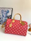Louis Vuitton Fashion Bag