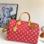 Louis Vuitton Fashion Bag