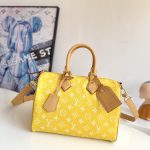 Louis Vuitton Fashion Bag