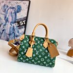 Louis Vuitton Fashion Bag