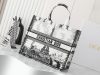 Dior Fashion Bag
