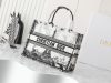 Dior Fashion Bag