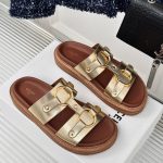 Celine Fashion Sandals