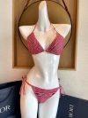 Dior swimsuit