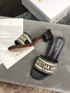Dior Fashion High Heels