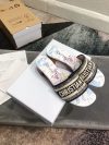 Dior Fashion Slippers