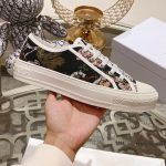 Dior Fashion Shoes