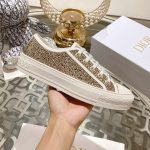 Dior Fashion Shoes