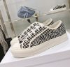 Dior Fashion Shoes