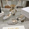 Dior Fashion Shoes