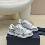 Dior Fashion Shoes