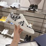 Dior Fashion Shoes