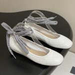 Dior Fashion Shoes