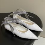 Dior Fashion Shoes