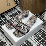 Dior Fashion Slippers