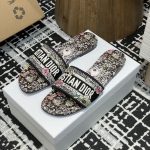 Dior Fashion Slippers