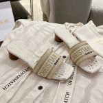 Dior Fashion Slippers