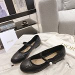 Dior Fashion Shoes