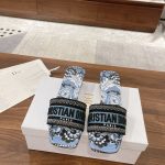 Dior Fashion Slippers