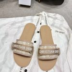Dior Fashion Slippers
