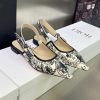 Dior Fashion Sandals