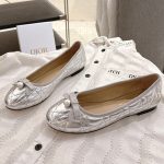 Dior Fashion Shoes