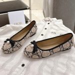 Dior Fashion Shoes