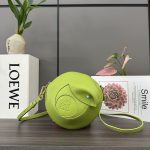 LOEWE Fashion Bag