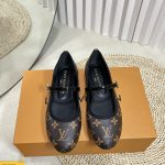 Louis Vuitton Fashion Shoes