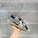 Golden Goose Fashion Shoes