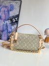 Louis Vuitton Fashion Bag