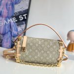 Louis Vuitton Fashion Bag