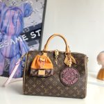 Louis Vuitton Fashion Bag
