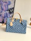 Louis Vuitton Fashion Bag
