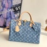 Louis Vuitton Fashion Bag