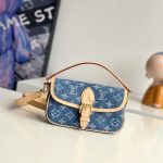 Louis Vuitton Fashion Bag