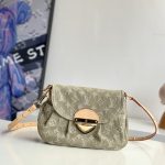 Louis Vuitton Fashion Bag