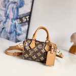 Louis Vuitton Fashion Bag