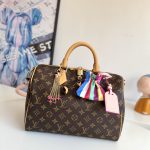 Louis Vuitton Fashion Bag