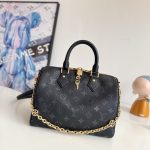 Louis Vuitton Fashion Bag
