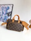 Louis Vuitton Fashion Bag